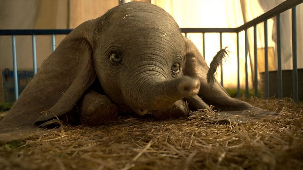 Disney+ Dumbo