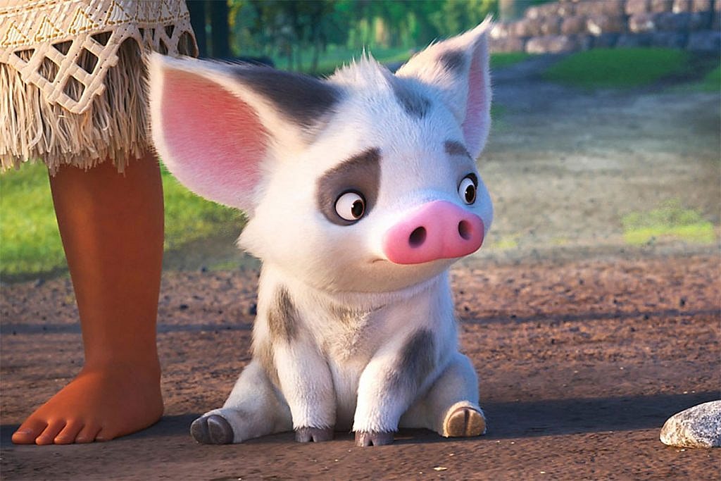 Disney+ Pua from Moana