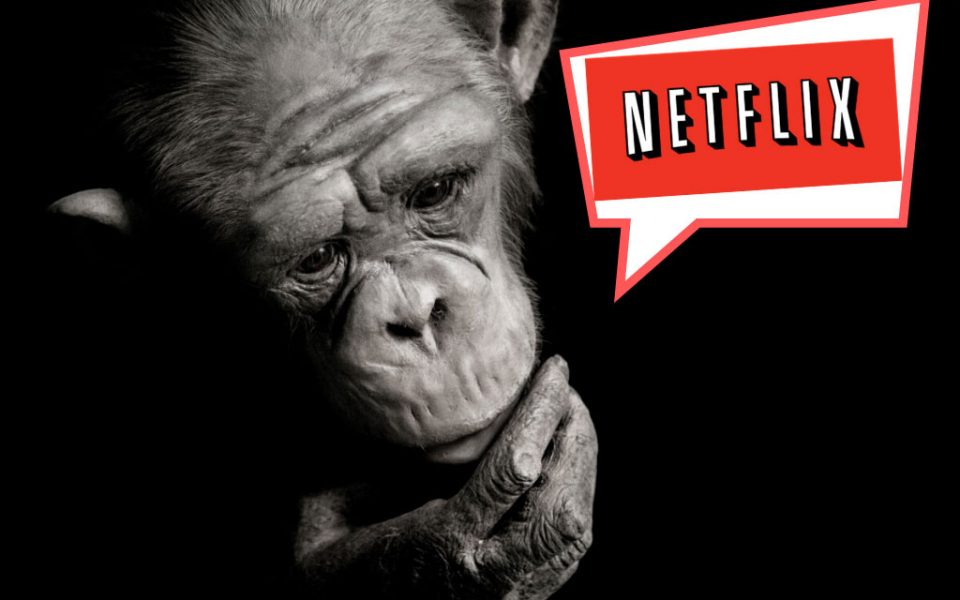 netflix-54-percent-chance-wall-street-analyst-is-right