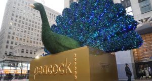 nbc-peacock-release-date-cost-and-much-more