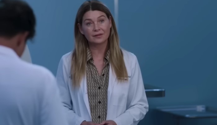 Meredith Grey, Abc